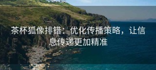 茶杯狐像排错：优化传播策略，让信息传递更加精准
