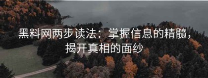 黑料网两步读法：掌握信息的精髓，揭开真相的面纱