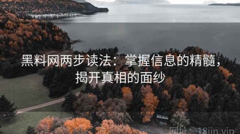 黑料网两步读法：掌握信息的精髓，揭开真相的面纱