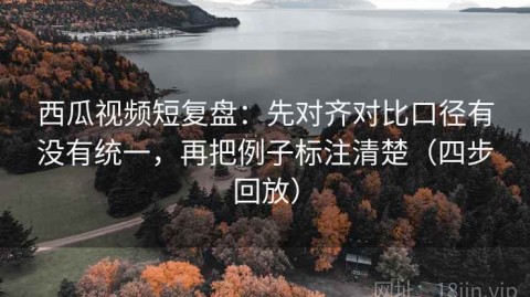 西瓜视频短复盘：先对齐对比口径有没有统一，再把例子标注清楚（四步回放）