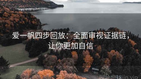 爱一帆四步回放：全面审视证据链，让你更加自信