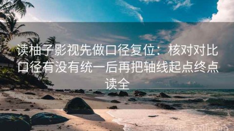 读柚子影视先做口径复位：核对对比口径有没有统一后再把轴线起点终点读全
