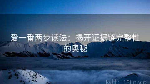 爱一番两步读法：揭开证据链完整性的奥秘