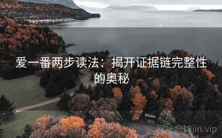 爱一番两步读法：揭开证据链完整性的奥秘